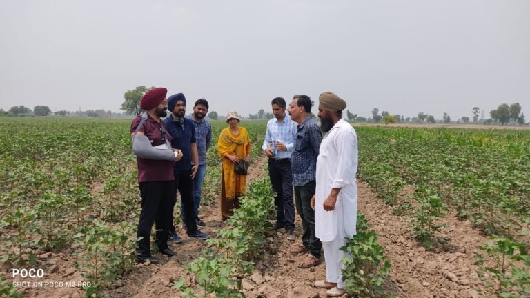 ਪੰਜਾਬ ਖੇਤੀਬਾੜੀ ਯੂਨੀਵਰਸਿਟੀ ਦੀ ਉੱਚ ਪੱਧਰੀ ਕਮੇਟੀ ਨੇ ਜਿਲ੍ਹੇ ਦੇ ਨਰਮੇ ਵਾਲੇ ਬਲਾਕਾਂ ਦਾ ਕੀਤਾ ਦੌਰਾ