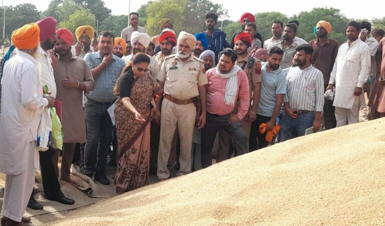 ਮੰਡੀਆਂ ਵਿੱਚ ਆ ਰਹੀ ਲਿਫਟਿੰਗ ਦੀ ਸਮੱਸਿਆ ਨੂੰ ਜਲਦ ਯੋਜਨਾਬੱਧ ਢੰਗ ਨਾਲ ਹੱਲ ਕਰ ਲਿਆ ਜਾਵੇਗਾ : ਡਿਪਟੀ ਕਮਿਸ਼ਨਰ