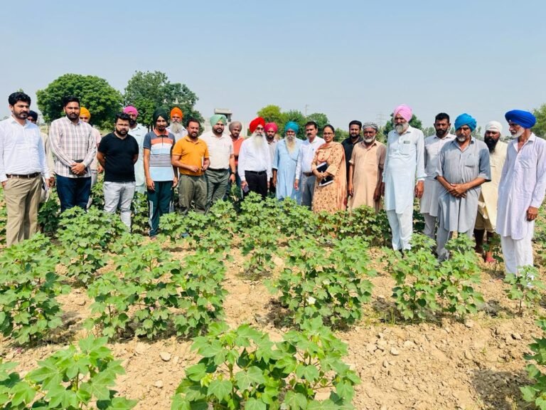 ਗੁਲਾਬੀ ਸੁੰਡੀ ਦੇ ਹਮਲੇ ਦਾ ਜਾਇਜਾ ਲੈਣ ਲਈ ਖੇਤੀਬਾੜੀ ਵਿਭਾਗ ਦੀ ਸੂਬਾ ਪੱਧਰੀ ਟੀਮ ਵੱਲੋਂ ਨਰਮੇ ਦੇ ਖੇਤਾਂ ਦਾ ਸਰਵੇਖਣ