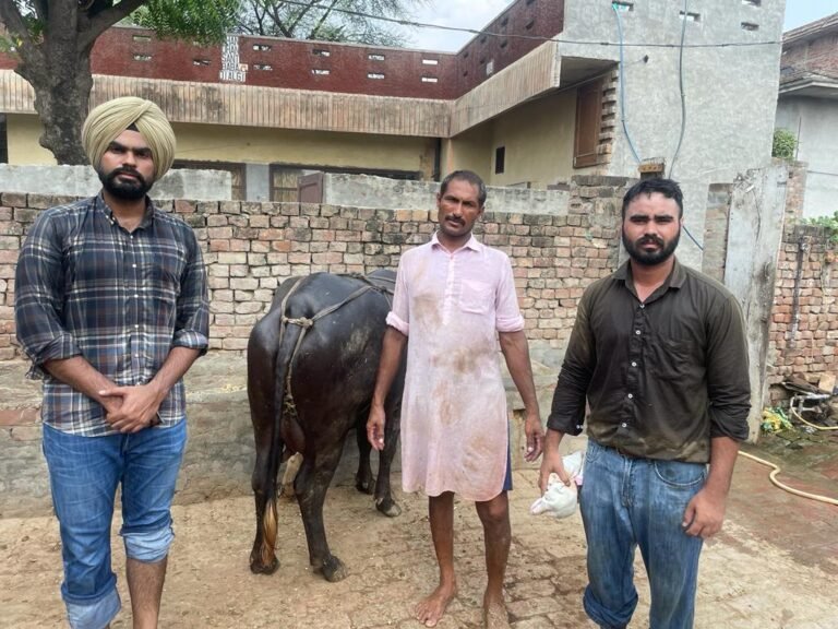 ਹੜ੍ਹਾਂ ਦੇ ਮੱਦੇਨਜ਼ਰ ਪਸ਼ੂਆਂ ਲਈ ਲੋੜੀਂਦੀਆਂ ਦਵਾਈਆਂ ਅਤੇ ਮੈਡੀਕਲ ਸੇਵਾਵਾਂ ਦੇ ਪੁਖ਼ਤਾ ਪ੍ਰਬੰਧ : ਡਾ. ਹਰਜਿੰਦਰ ਪਾਲ ਗੋਜਰਾ
