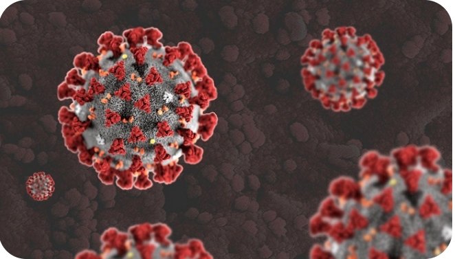 ਪੰਜਾਬ ਚ ਕੋਰੋਨਾ ਦਾ ਕਹਿਰ 6883 ਨਵੇਂ ਕੇਸ 22 ਲੋਕਾਂ ਦੀ ਹੋਈ ਮੌਤ