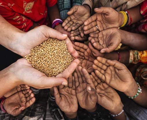 ਯੂਕਰੇਨ ਤੇ ਰੂਸ ਵਿਚਾਲੇ ਜੰਗ ਦੁਨੀਆਂ ’ਚ ਪੈਦਾ ਕਰ ਸਕਦੀ ਹੈ ਅੰਨ ਸੰਕਟ