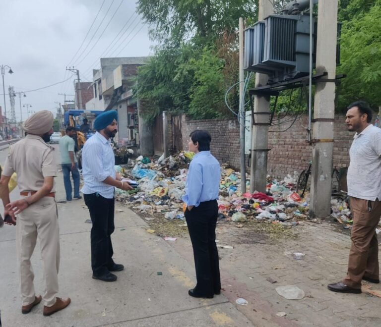 ਵਧੀਕ ਡਿਪਟੀ ਕਮਿਸ਼ਨਰ ਪੂਨਮ ਸਿੰਘ ਵੱਲੋਂ ਸ਼ਹਿਰ ਦੀ ਸਫ਼ਾਈ ਪ੍ਰਕਿਰਿਆ ਦਾ ਨਿਰੀਖਣ