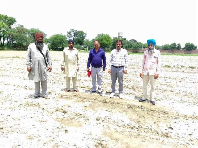ਜਿਲ੍ਹਾ ਅਤੇ ਬਲਾਕ ਪੱਧਰੀ ਟੀਮ ਵੱਲੋਂ ਨਰਮੇ ਦੇ ਬਿਜਵਾਏ ਪ੍ਰਦਰਸ਼ਨੀ ਪਲਾਂਟ ਦਾ ਜਾਇਜ਼ਾ ਲਿਆ