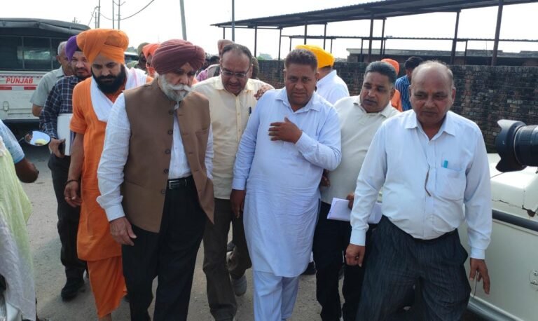 ਨੈਸ਼ਨਲ ਗ੍ਰੀਨ ਟ੍ਰਿਬਿਊਨਲ ਦੀ ਟੀਮ ਨੇ ਕੀਤਾ ਮਾਨਸਾ ਦਾ ਸਰਵੇ