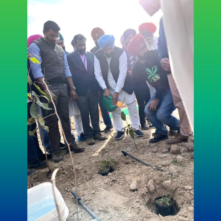 ਵਾਤਾਵਰਣ ਸੁਧਾਰ ਅਤੇ ਪਿੰਡਾਂ ਨੂੰ ਹਰਿਆ ਭਰਿਆ ਬਣਾਉਣ ਲਈ ਕੀਤੇ ਜਾ ਰਹੇ ਉਪਰਾਲੇ ਸ਼ਲਾਘਾਯੋਗ : ਵਿਧਾਇਕ ਬੁੱਧ ਰਾਮ