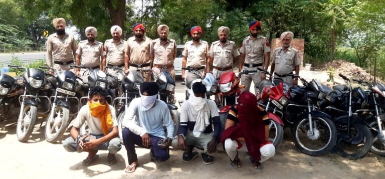 ਮਾਨਸਾ ਪੁਲਿਸ ਨੇ ਵਹੀਕਲ ਚੋਰੀ ਕਰਨ ਵਾਲਾ ਗਿਰੋਹ ਕੀਤਾ ਕਾਬੂ, ਚੋਰੀ ਕੀਤੇ ਚੌਦਾਂ ਮੋਟਰ ਸਾਇਕਲ ਬਰਾਮਦ