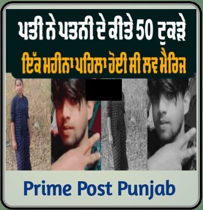 ਪਤੀ ਨੇ ਪਤਨੀ ਦੇ ਕੀਤੇ 50 ਟੁਕੜੇ, ਇੱਕ ਮਹੀਨਾ ਪਹਿਲਾ ਹੋਈ ਸੀ ਲਵ ਮੈਰਿਜ