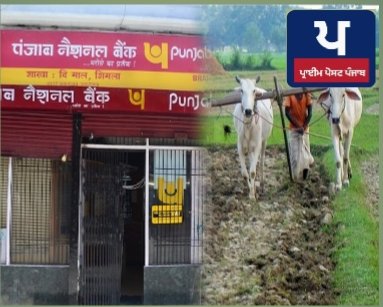 ਕਿਸਾਨਾਂ ਲਈ ਵੱਡਾ ਤੋਹਫਾ, PNB ਨੇ ਜਾਰੀ ਕੀਤੇ ਖ਼ਾਸ ਨੰਬਰ, ਸਿੱਧੇ ਖਾਤੇ ‘ਚ ਆਉਣਗੇ ਪੈਸੇ