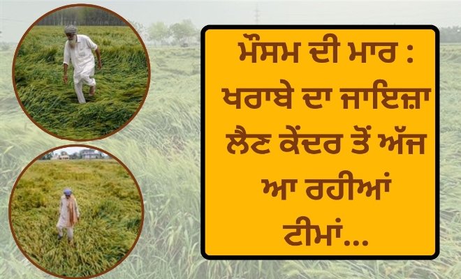 ਮੌਸਮ ਦੀ ਮਾਰ : ਖਰਾਬੇ ਦਾ ਜਾਇਜ਼ਾ ਲੈਣ ਕੇਂਦਰ ਤੋਂ ਅੱਜ ਆ ਰਹੀਆਂ ਟੀਮਾਂ…