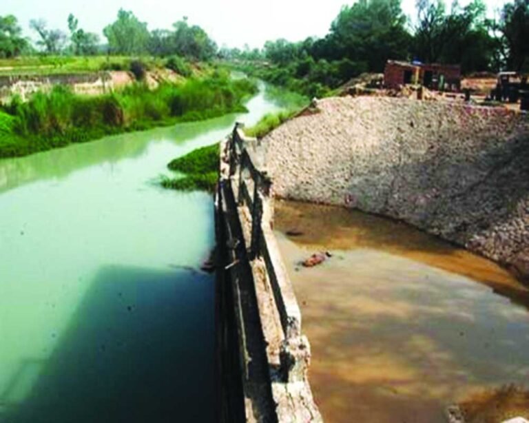 SYL : ਪੰਜਾਬ ‘ਚ SYL ਨੂੰ ਲੈ ਕੇ ਸਿਆਸਤ ਗਰਮਾਈ, ਅਕਾਲੀ ਦਲ ਅਤੇ ਕਾਂਗਰਸ ਨੇ ‘ਆਪ’ ਸਰਕਾਰ ਖਿਲਾਫ ਖੋਲ੍ਹਿਆ ਮੋਰਚਾ